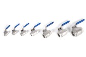 stainless steel valves, all sizes, side view, stainless steel ball valves, multiple sizes, stainless steel valves, food-grade plumbing, maple equipment, food processing equipment, LS Bilodeau